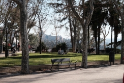 DSCF8406_c_th.jpg