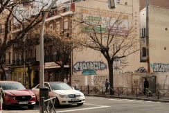 DSCF8638_c_th.jpg