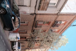 DSCF6771_c_th.jpg