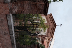 DSCF7050_c_th.jpg