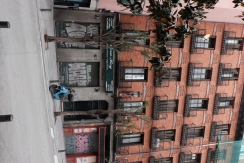 DSCF7188_c_th.jpg