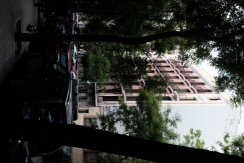 DSCF7301_c_th.jpg