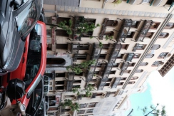 DSCF7308_c_th.jpg