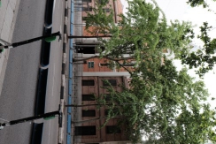 DSCF7310_c_th.jpg