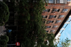 DSCF7369_c_th.jpg