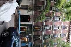 DSCF7380_c_th.jpg