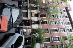 DSCF7383_c_th.jpg