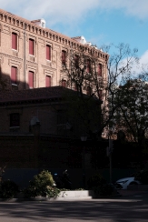 DSCF8278_c_th.jpg
