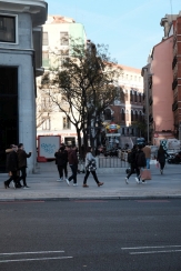 DSCF8419_c_th.jpg
