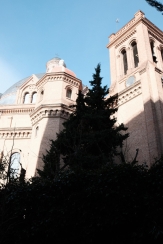 DSCF8709_c_th.jpg