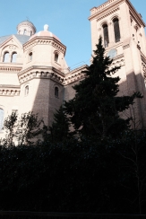 DSCF8712_c_th.jpg