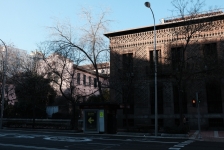 DSCF8980_c_th.jpg