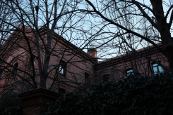 DSCF9003_c_th.jpg