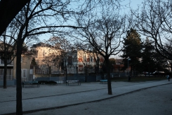 DSCF9191_c_th.jpg