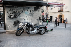 DSCF9250_c_th.jpg