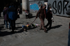 DSCF9735_c_th.jpg