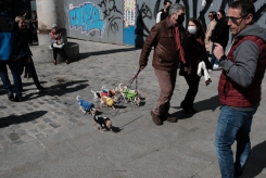 DSCF9736_c_th.jpg