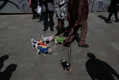 DSCF9737_c_th.jpg