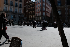 DSCF9742_c_th.jpg