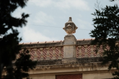 DSCF9942_c_th.jpg
