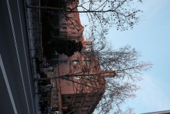 DSCF9010_c_th.jpg