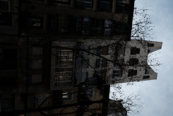 DSCF9242_c_th.jpg