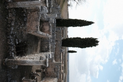 DSCF9300_c_th.jpg