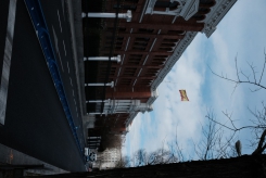 DSCF9394_c_th.jpg