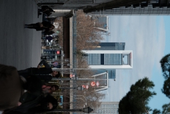 DSCF9423_c_th.jpg
