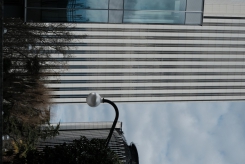 DSCF9452_c_th.jpg