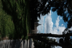 DSCF9612_c_th.jpg