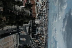 DSCF9655_c_th.jpg