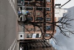 DSCF9679_c_th.jpg