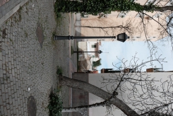 DSCF9690_c_th.jpg