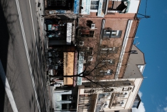 DSCF9705_c_th.jpg