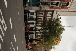 DSCF9802_c_th.jpg