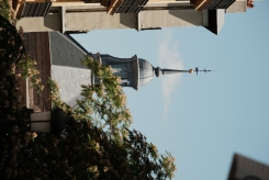 DSCF9877_c_th.jpg