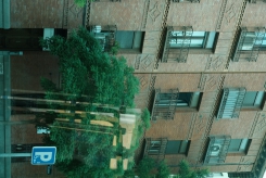 DSCF9966_c_th.jpg